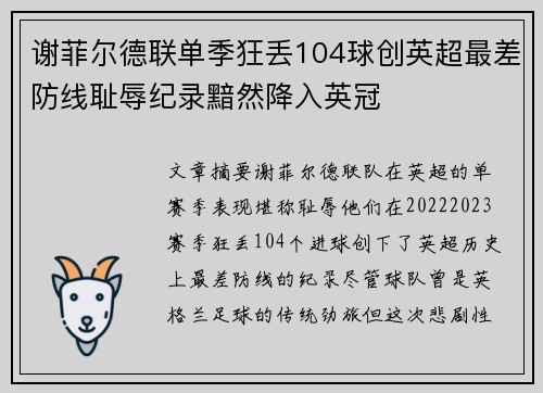 谢菲尔德联单季狂丢104球创英超最差防线耻辱纪录黯然降入英冠 谢菲尔德联单季狂丢104球创英超最差防线耻辱纪录黯然降入英冠